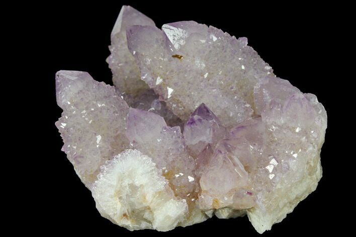 Cactus Quartz (Amethyst) Crystal Cluster - South Africa #132517